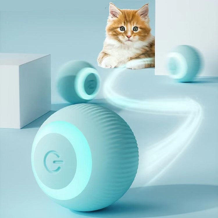 Spinball Pet Toy