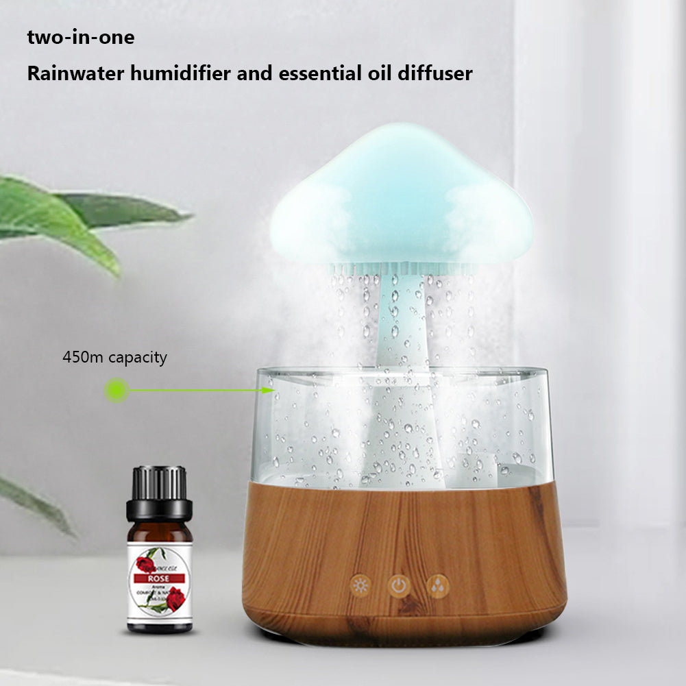 Zen Rain Humidifier